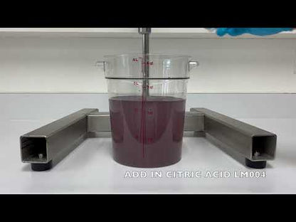 Blueberry Fruit Punch Beverage Formula #219