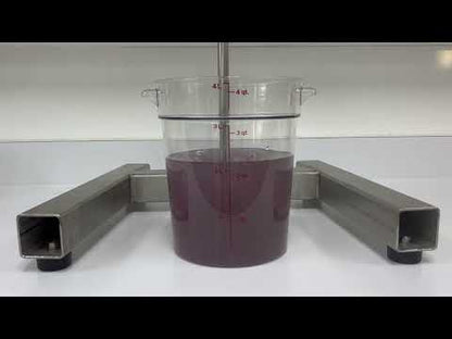 Grape Lemonade Beverage Formula #208