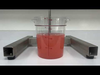Watermelon Lemonade Beverage Formula #206