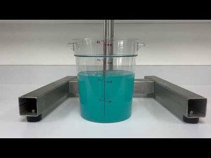 Raspberry Lemonade Beverage Formula #204
